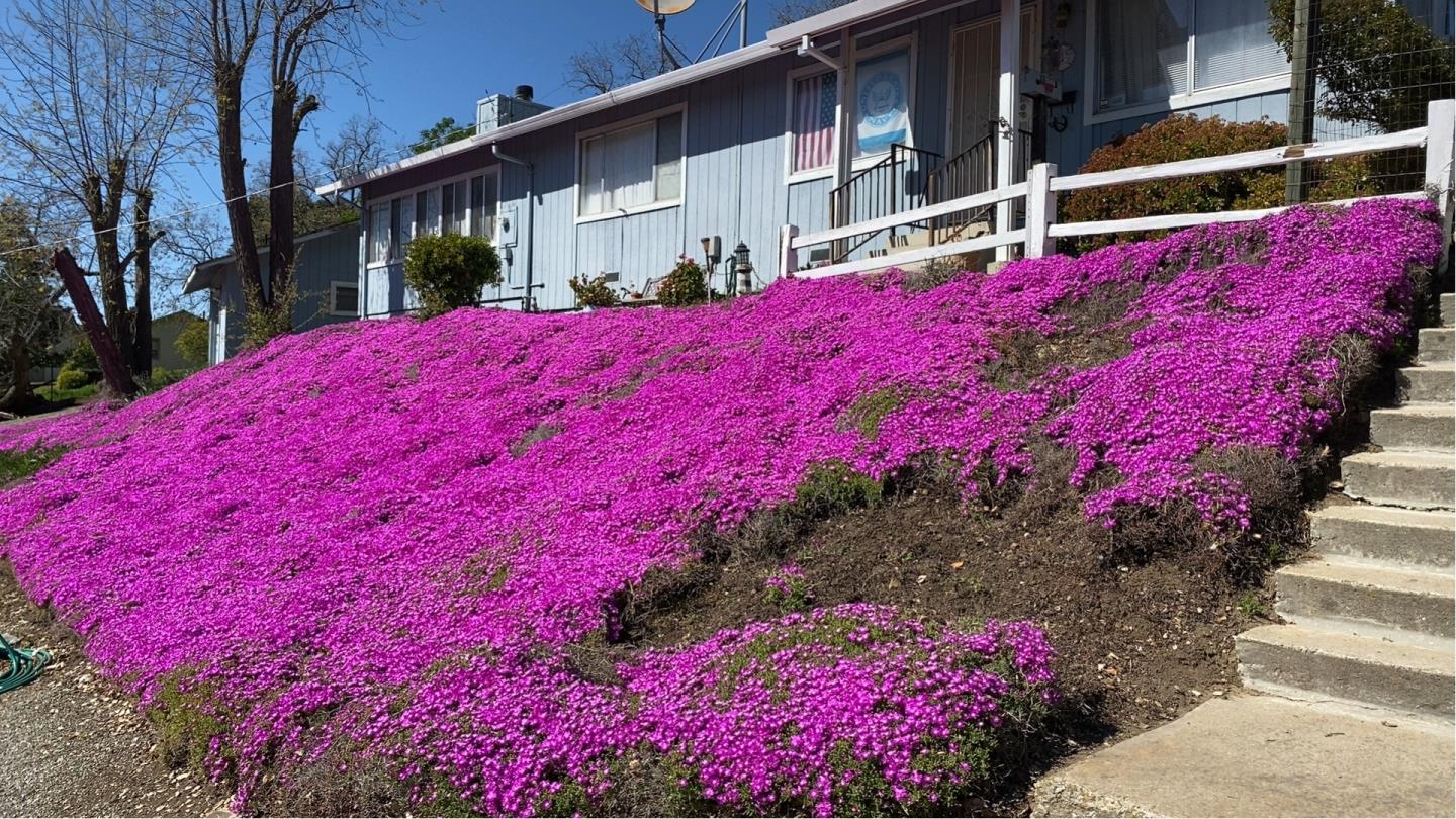 3463 Calaveras Road Milpitas, CA 95035 - Photo 10 of 14 a view of a house with a yard and fountain