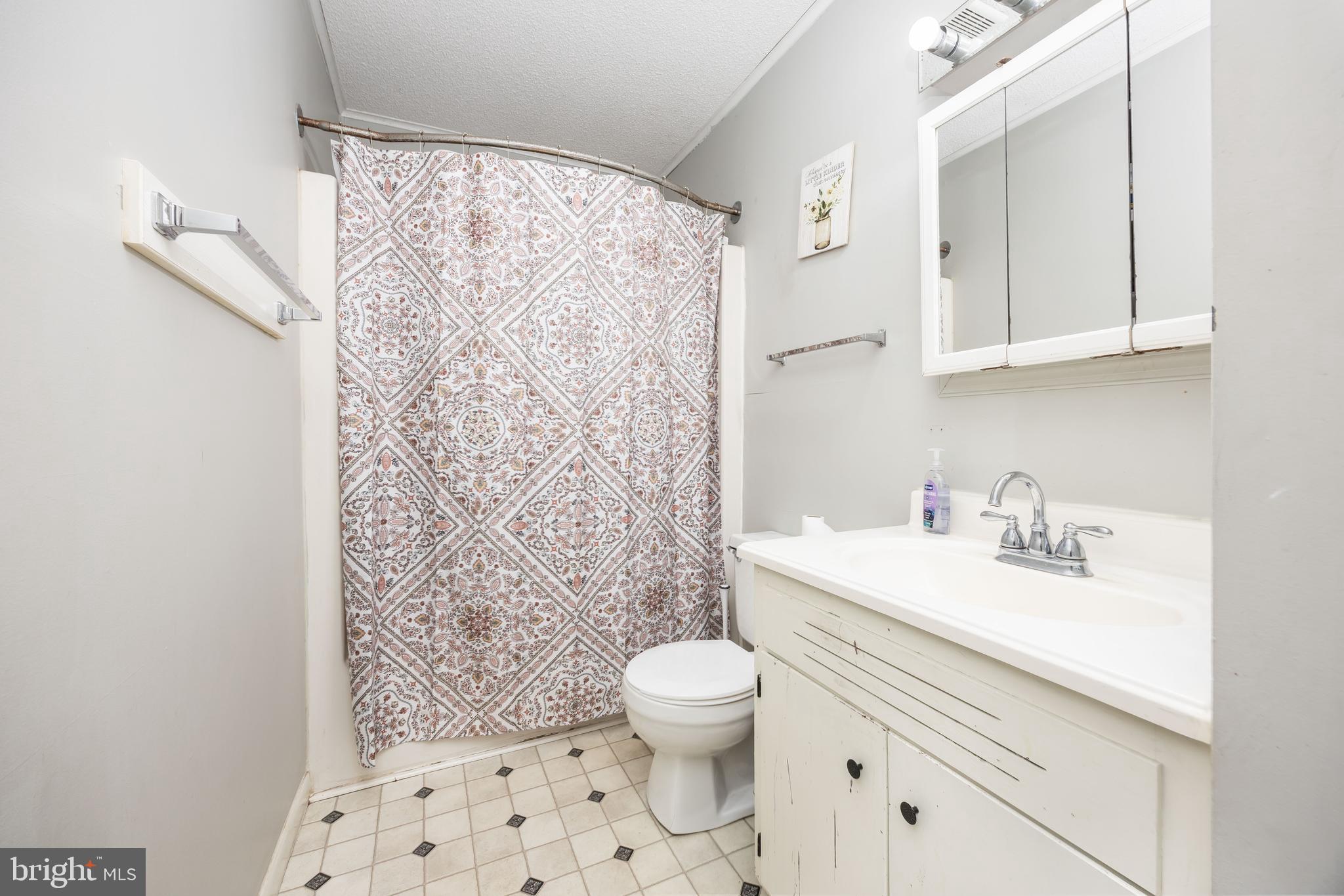 6870 Zion Church Road Salisbury, MD 21804 - Photo 23 of 39 a bathroom with a sink toilet a mirror and shower