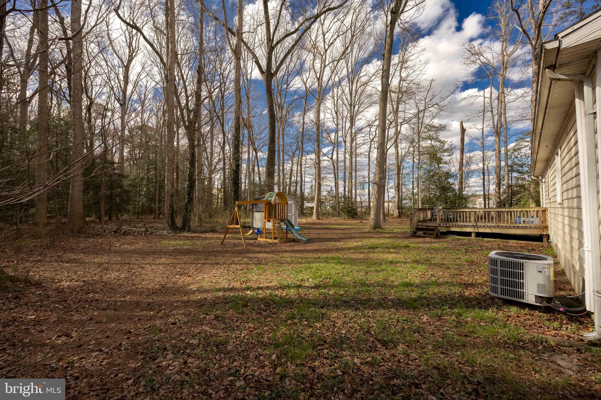 6870 Zion Church Road Salisbury, MD 21804 - Photo 31 of 39 a view of park space with large trees