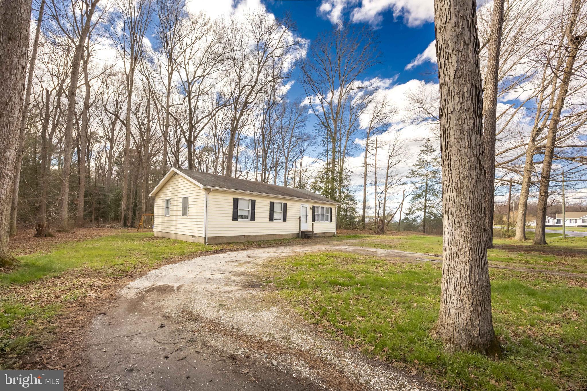 6870 Zion Church Road Salisbury, MD 21804 - Photo 4 of 39 a front view of a house with a yard and trees