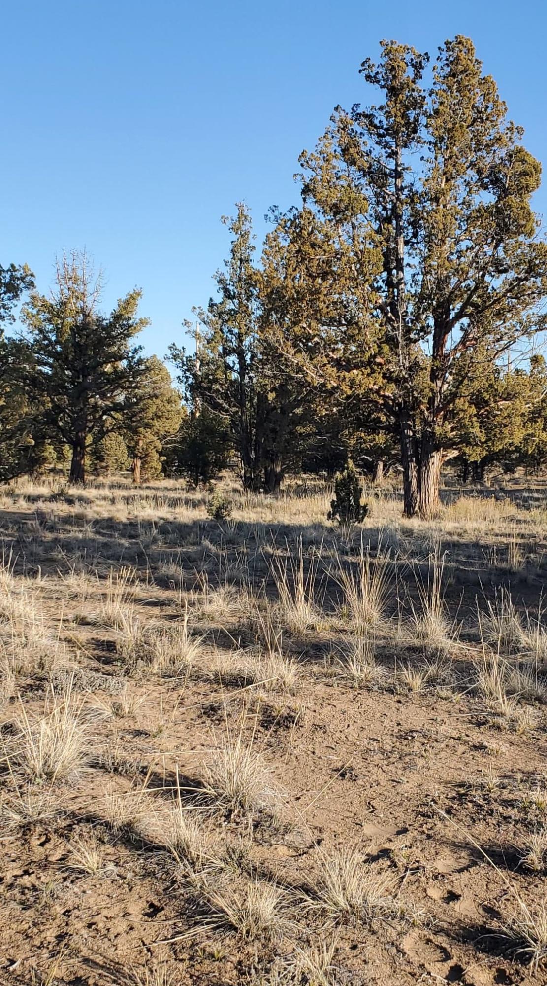 Southeast Huron Road Prineville, OR 97754 - Photo 22 of 25 21