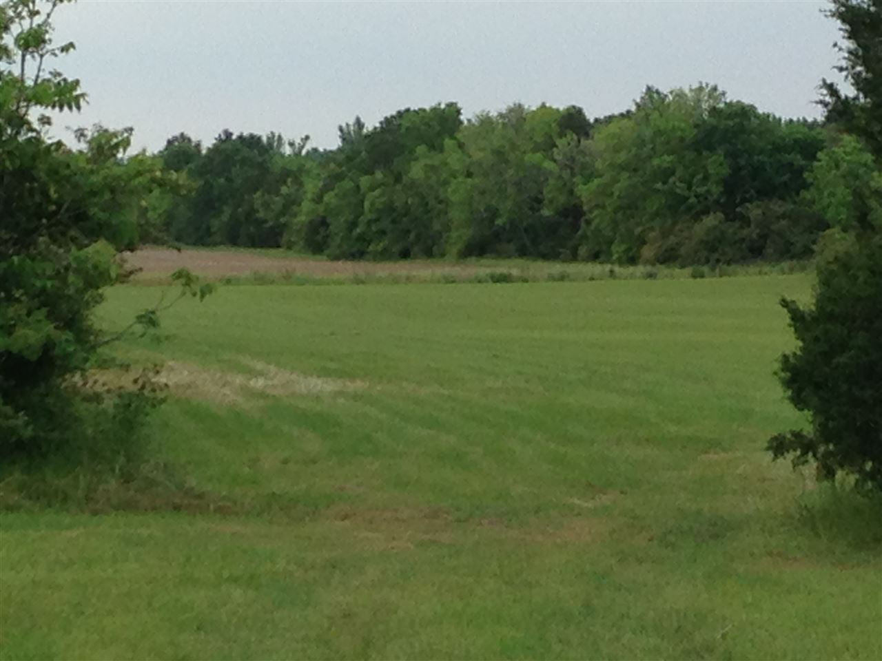 448 Yandell Road Canton, MS 39046 - Photo 3 of 10 Photo 3
