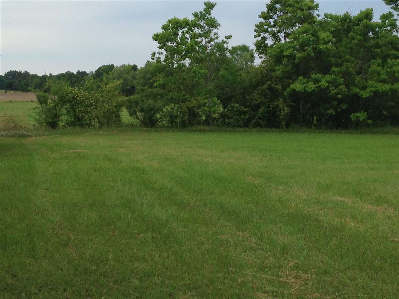 448 Yandell Road Canton, MS 39046 - Photo 5 of 10 Photo 5
