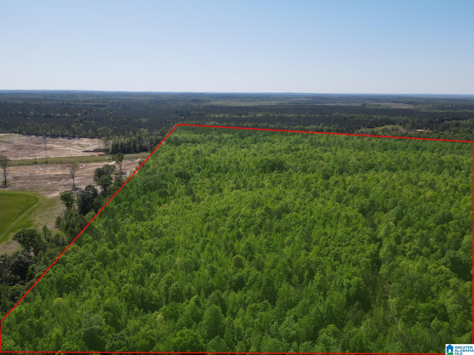 73 County Road 73, Unit 20003000 Randolph, AL 36792 - Photo 3 of 13