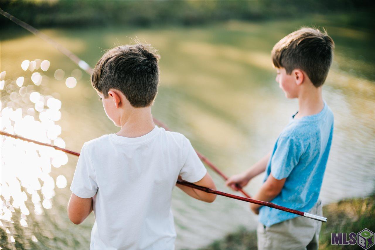 13545 Inspiration Pt Drive Baton Rouge, LA 70810 - Photo 5 of 6 The Preservation Garden