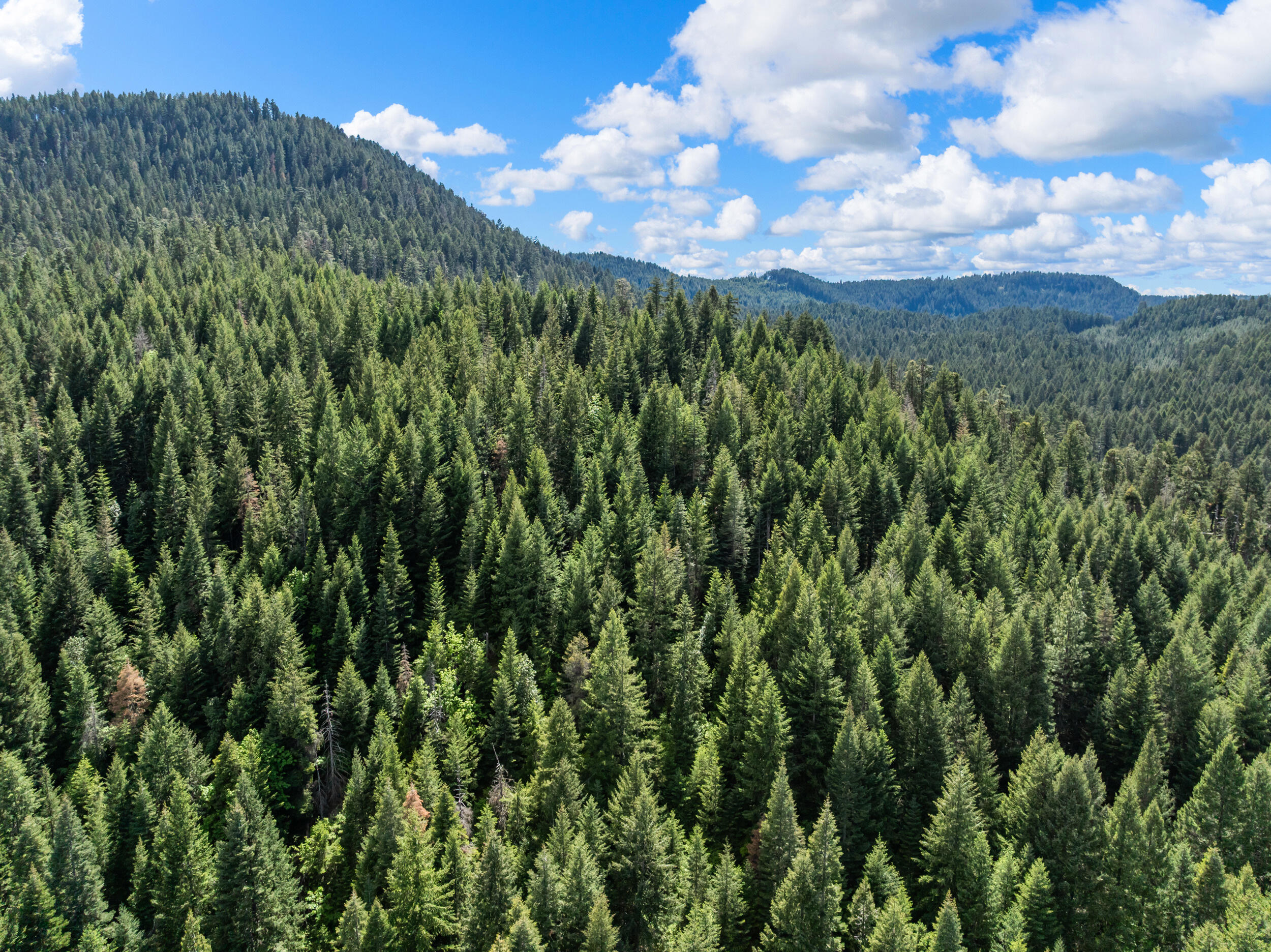 25232 Highway 140 Eagle Point, OR 97524 - Photo 42 of 51 44_25232 or-140, eagle point-drone-14
