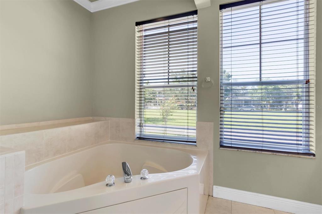10121 Porch Street New Port Richey, FL 34655 - Photo 25 of 57 a white bath tub sitting in a bathroom next to a window