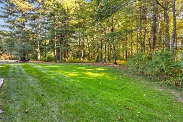 a backyard of apartments with large trees