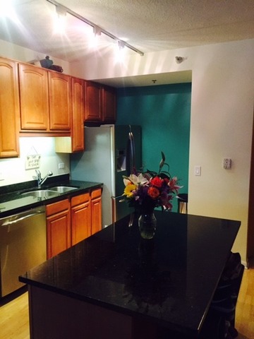 1250 South Indiana Avenue, Unit 606 Chicago, IL 60605 - Photo 2 of 16 a kitchen with a sink dishwasher a stove and a refrigerator with wooden floor