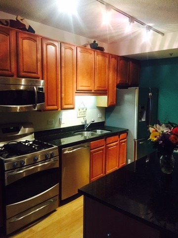 1250 South Indiana Avenue, Unit 606 Chicago, IL 60605 - Photo 3 of 16 a kitchen with stainless steel appliances a stove sink and cabinets