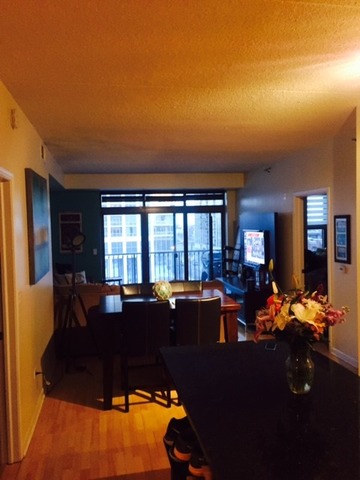 1250 South Indiana Avenue, Unit 606 Chicago, IL 60605 - Photo 4 of 16 a living room with furniture fireplace and large windows