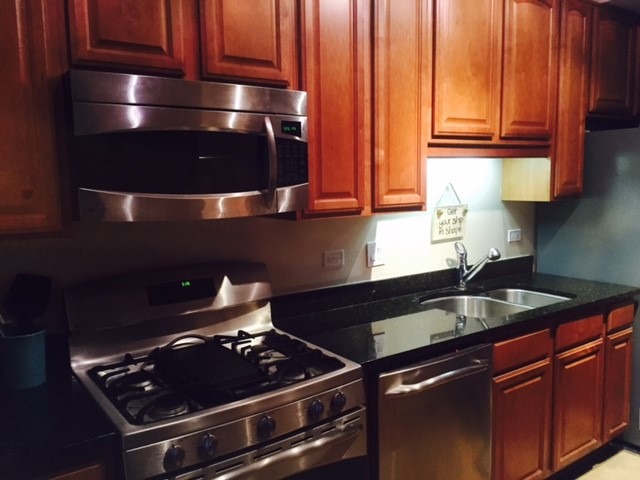 1250 South Indiana Avenue, Unit 606 Chicago, IL 60605 - Photo 5 of 16 a stove top oven sitting inside of a kitchen