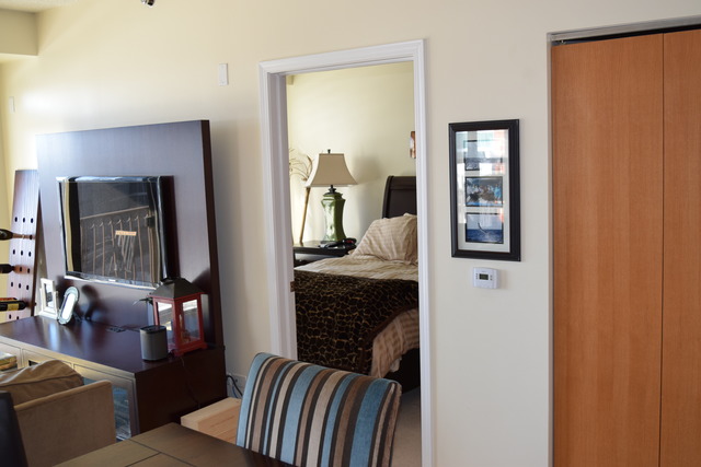 1250 South Indiana Avenue, Unit 606 Chicago, IL 60605 - Photo 6 of 16 a en suite bathroom with a sink and a mirror