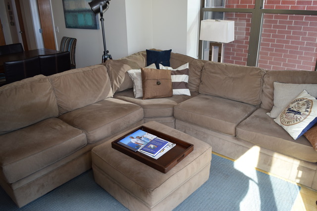 1250 South Indiana Avenue, Unit 606 Chicago, IL 60605 - Photo 8 of 16 a living room with furniture and a lamp