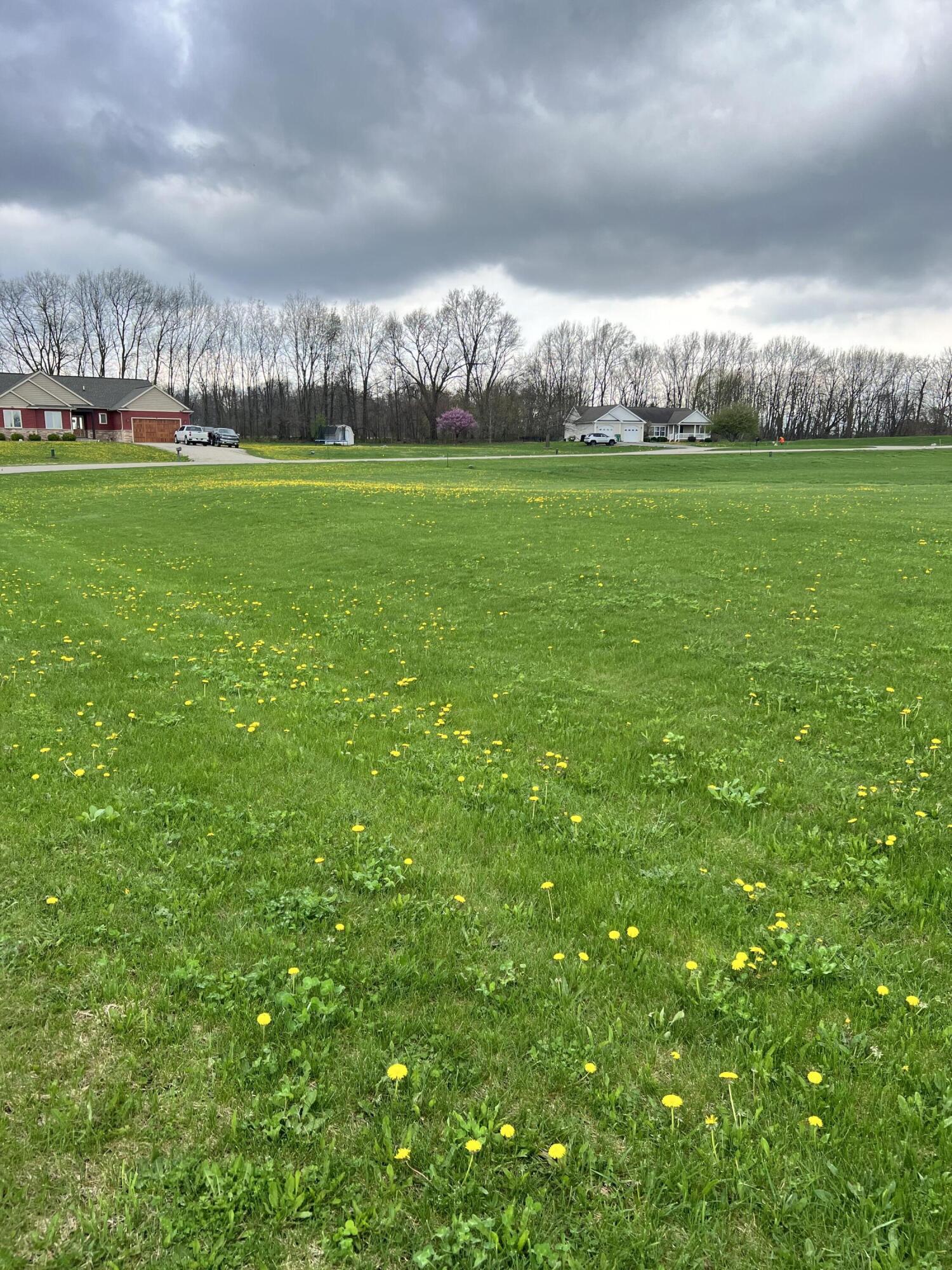 Ryan Road Marcellus, MI 49067 - Photo 2 of 4 Ryan Rd - Pic 2
