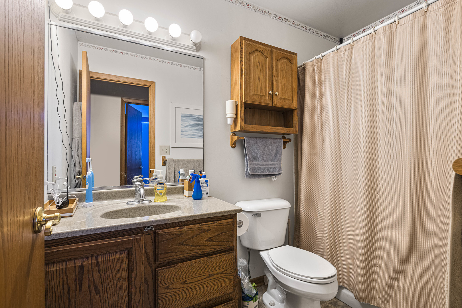 6211 Maple Street, Unit 103 Marengo, IL 60152 - Photo 12 of 20 a bathroom with a sink a toilet a mirror and shower curtain