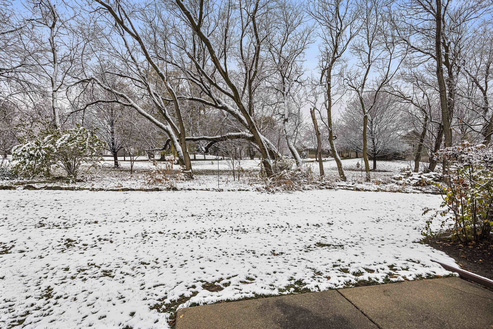 6211 Maple Street, Unit 103 Marengo, IL 60152 - Photo 20 of 20 a view of a snow on the road
