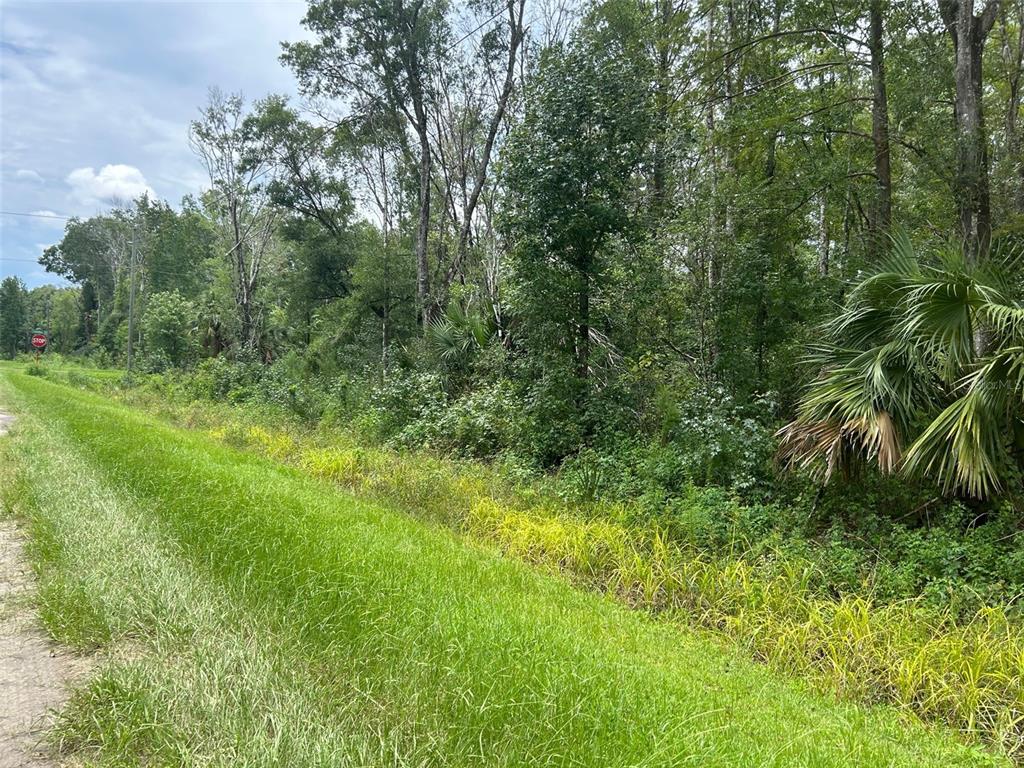 10965 Ruth Avenue Hastings, FL 32145 - Photo 9 of 12 Gallery Image 9
