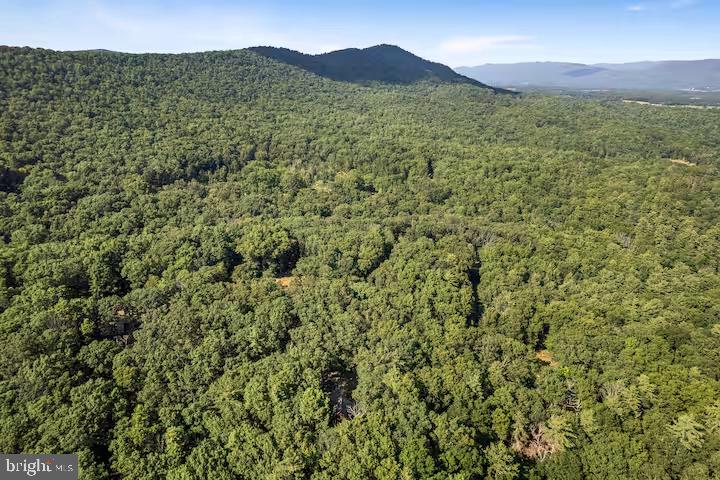393 Timber Run Road Mathias, WV 26812 - Photo 29 of 31