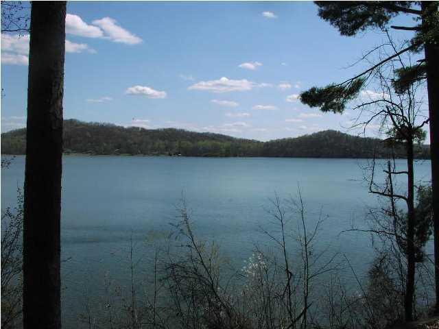 1446 Whites Creek Road Spring City, TN 37381 - Photo 2 of 9 Additional Photo
