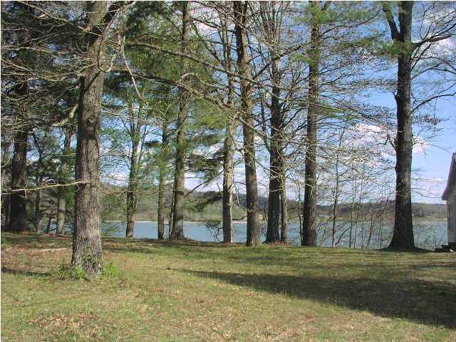 1446 Whites Creek Road Spring City, TN 37381 - Photo 9 of 9 Additional Photo