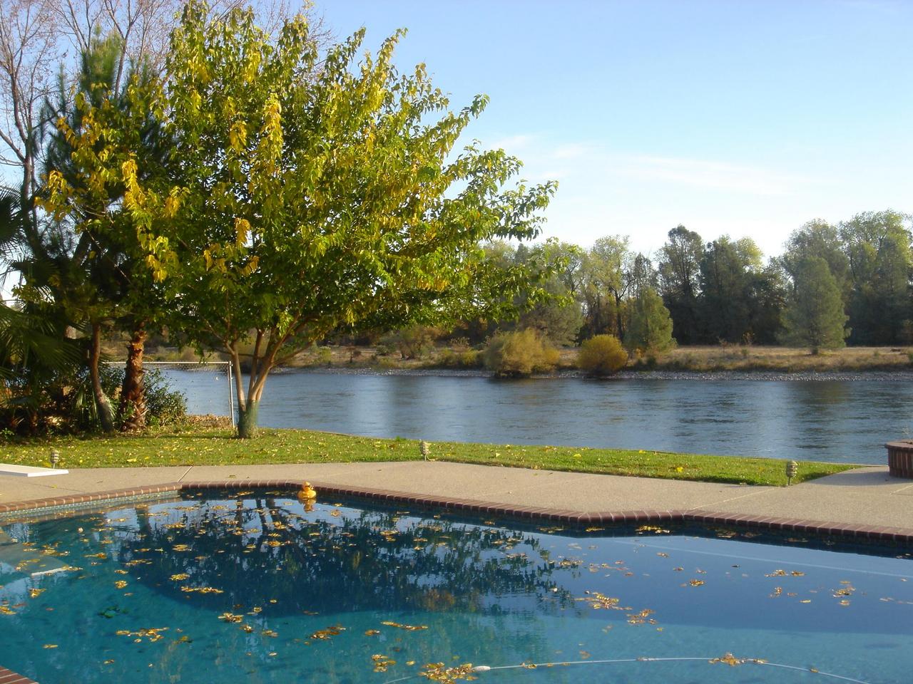 6341 Riverside Drive Redding, CA 96001 - Photo 7 of 20 a view of swimming pool with a yard