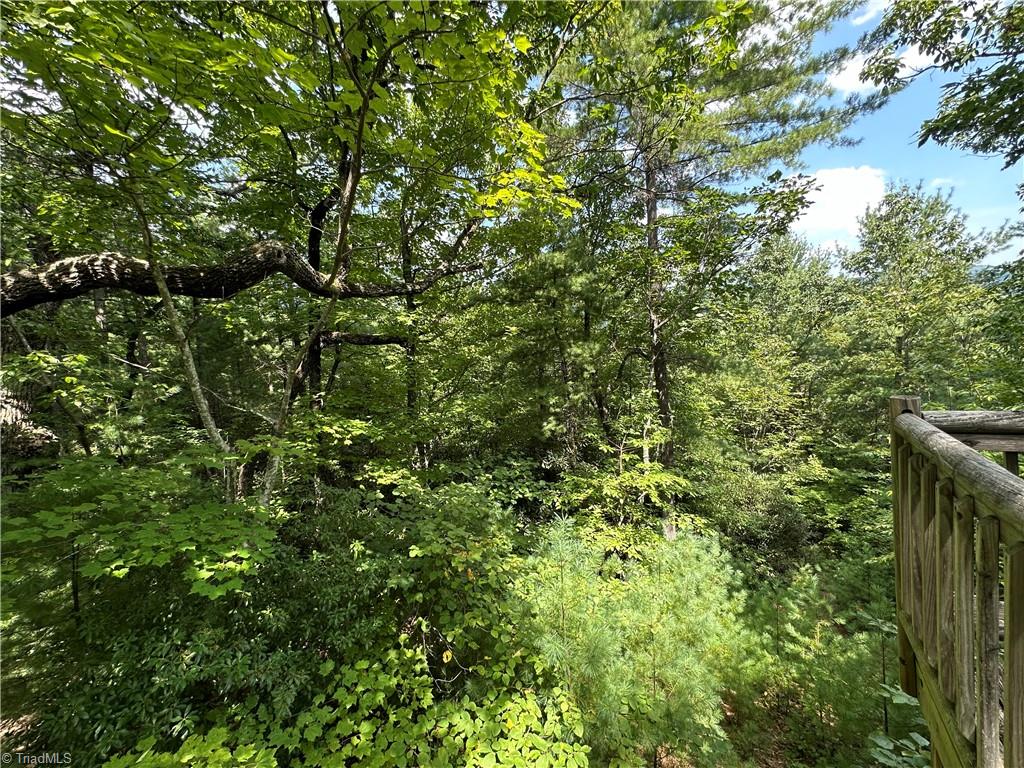 Lot 31 Cascade Run Purlear, NC 28665 - Photo 11 of 34