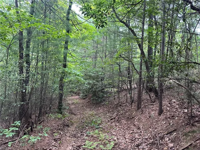 $94,500 | Lot 31 Cascade Run, Purlear, NC 28665