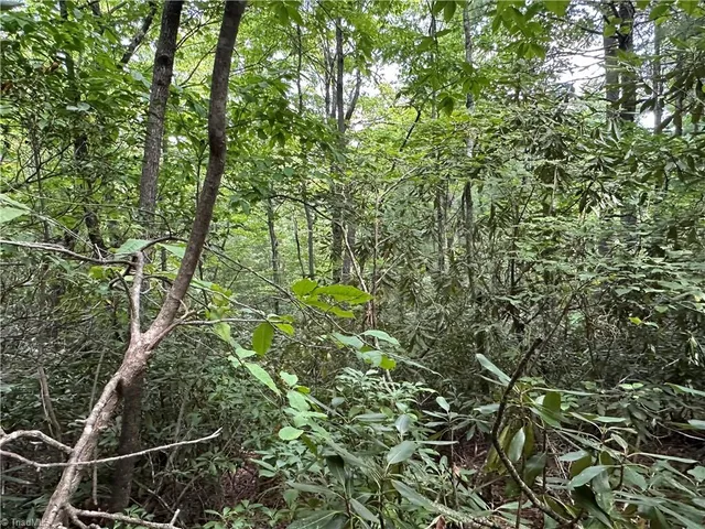 $94,500 | Lot 31 Cascade Run, Purlear, NC 28665