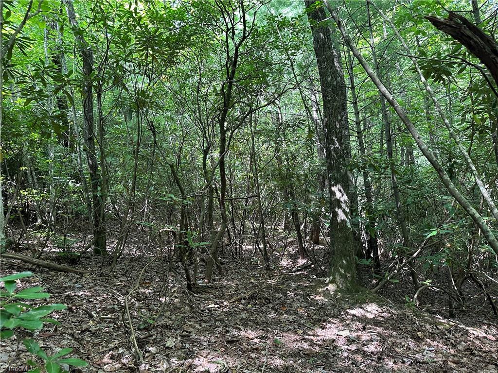 Lot 31 Cascade Run Purlear, NC 28665 - Photo 14 of 34