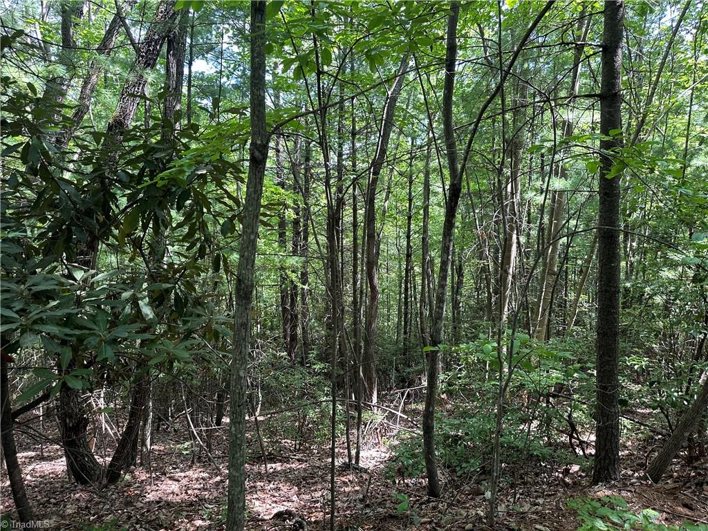 Lot 31 Cascade Run Purlear, NC 28665 - Photo 15 of 34