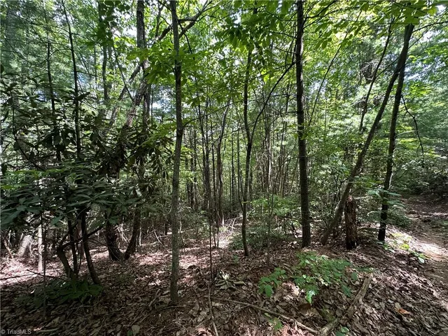 $94,500 | Lot 31 Cascade Run, Purlear, NC 28665