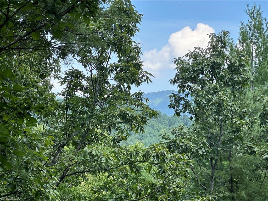 Lot 31 Cascade Run Purlear, NC 28665 - Photo 18 of 34 Get a feel for the views at the N lookout