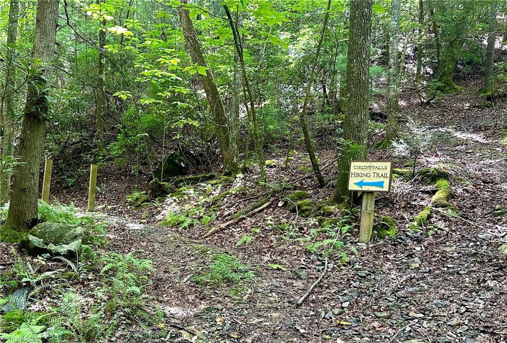 Lot 31 Cascade Run Purlear, NC 28665 - Photo 26 of 34 Community hiking trail