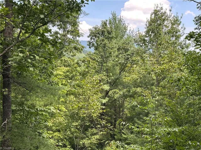 $94,500 | Lot 31 Cascade Run, Purlear, NC 28665