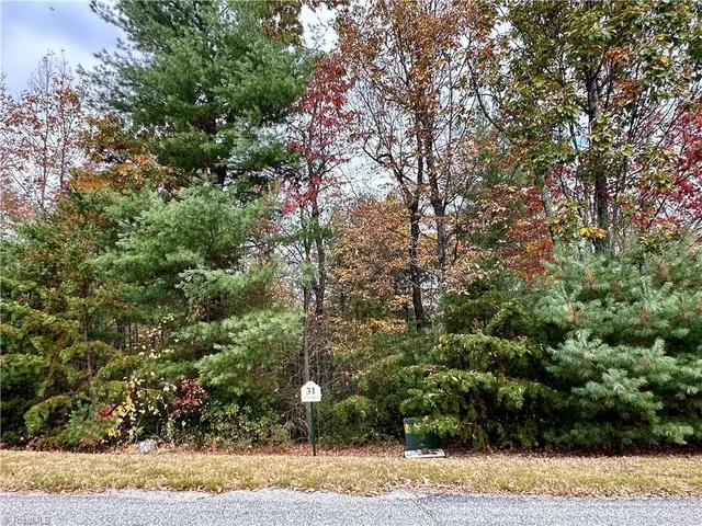 $94,500 | Lot 31 Cascade Run, Purlear, NC 28665