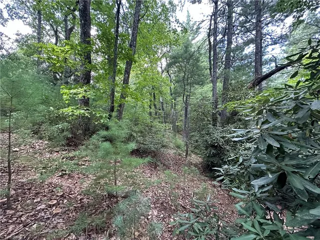 $94,500 | Lot 31 Cascade Run, Purlear, NC 28665