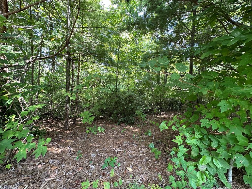 Lot 31 Cascade Run Purlear, NC 28665 - Photo 8 of 34