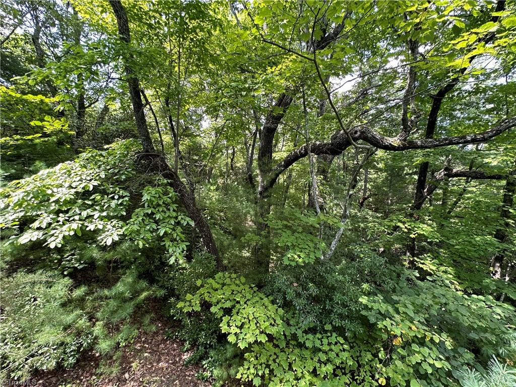 Lot 31 Cascade Run Purlear, NC 28665 - Photo 10 of 34