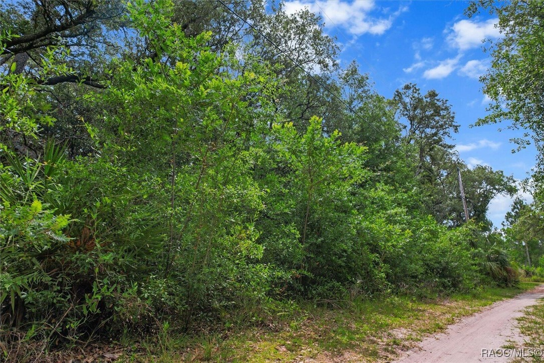 7261 West Stuart Lane Homosassa, FL 34448 - Photo 5 of 15