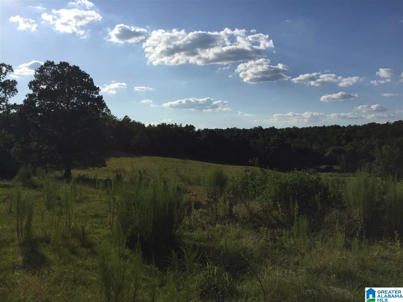 0 Valley Creek Road Piedmont, AL 36272 - Photo 11 of 28