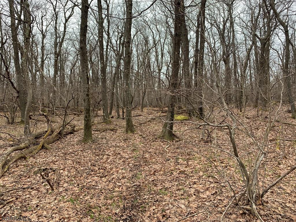 Lot 150 Shawnee View Road Central City, PA 15926 - Photo 5 of 23 Gallery Image 5