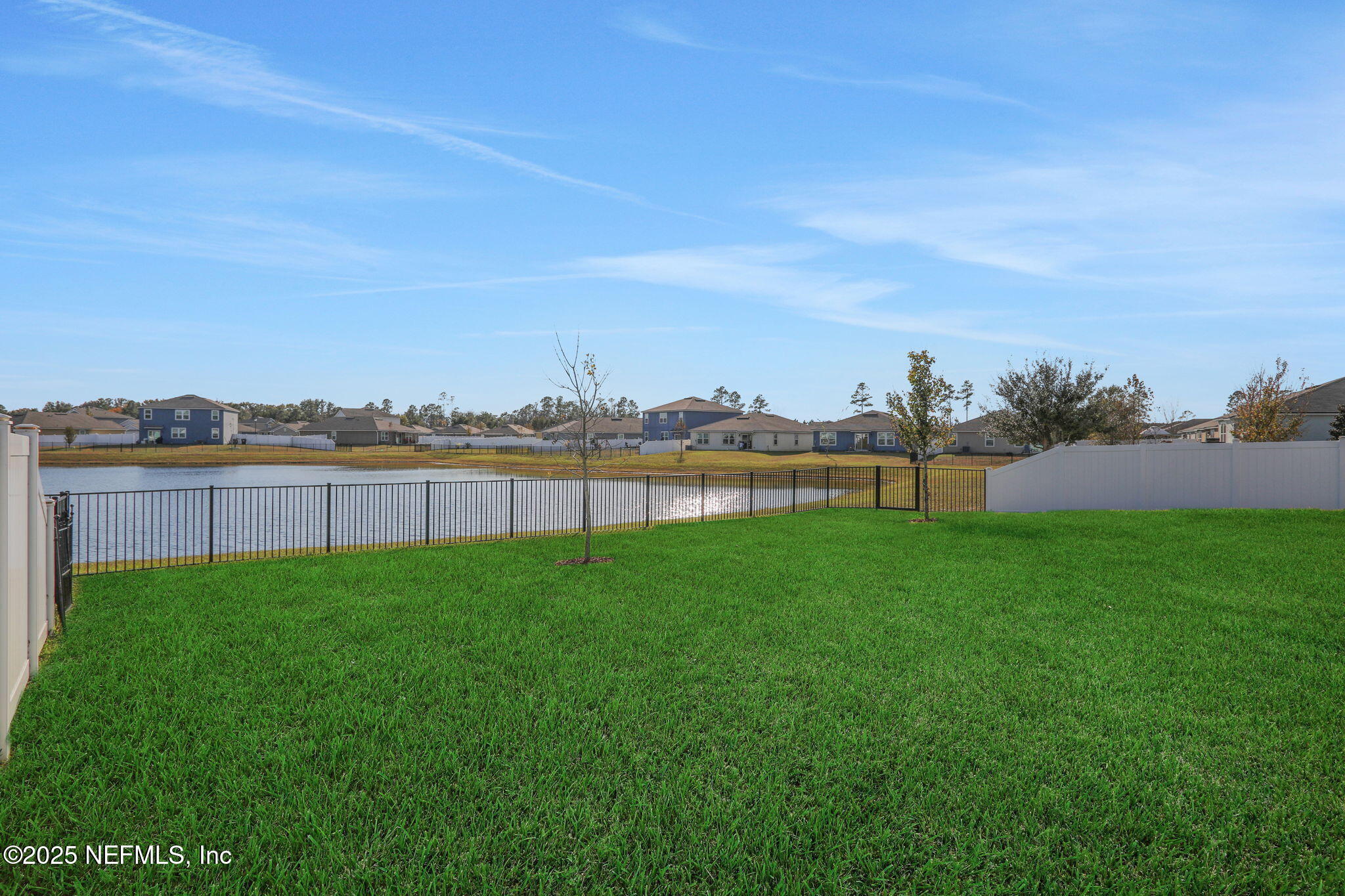 2496 Cold Stream Lane Green Cove Springs, FL 32043 - Photo 41 of 58 Fenced Backyard & Pond View