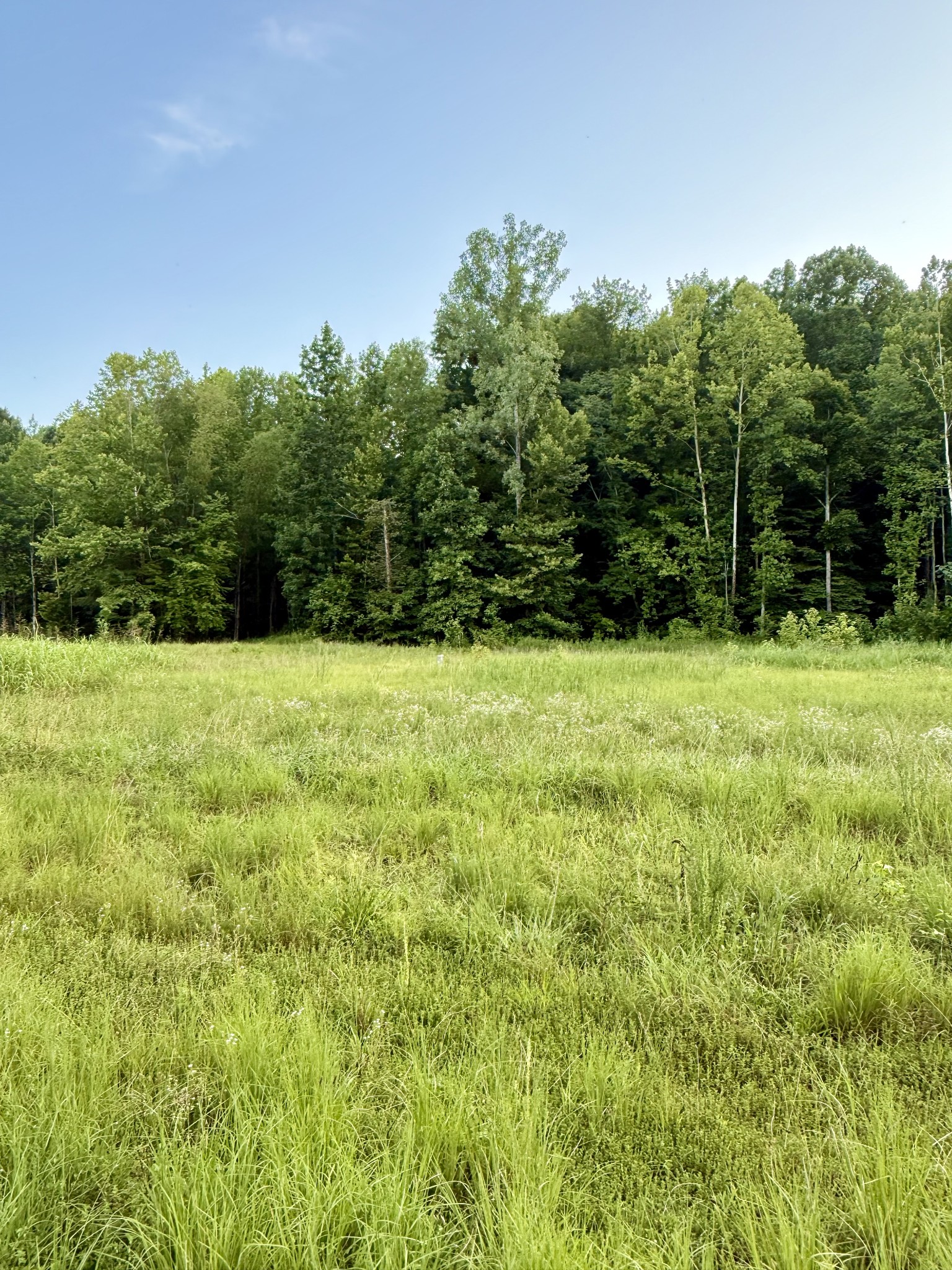 825 Lakestone Road Waverly, TN 37185 - Photo 7 of 7