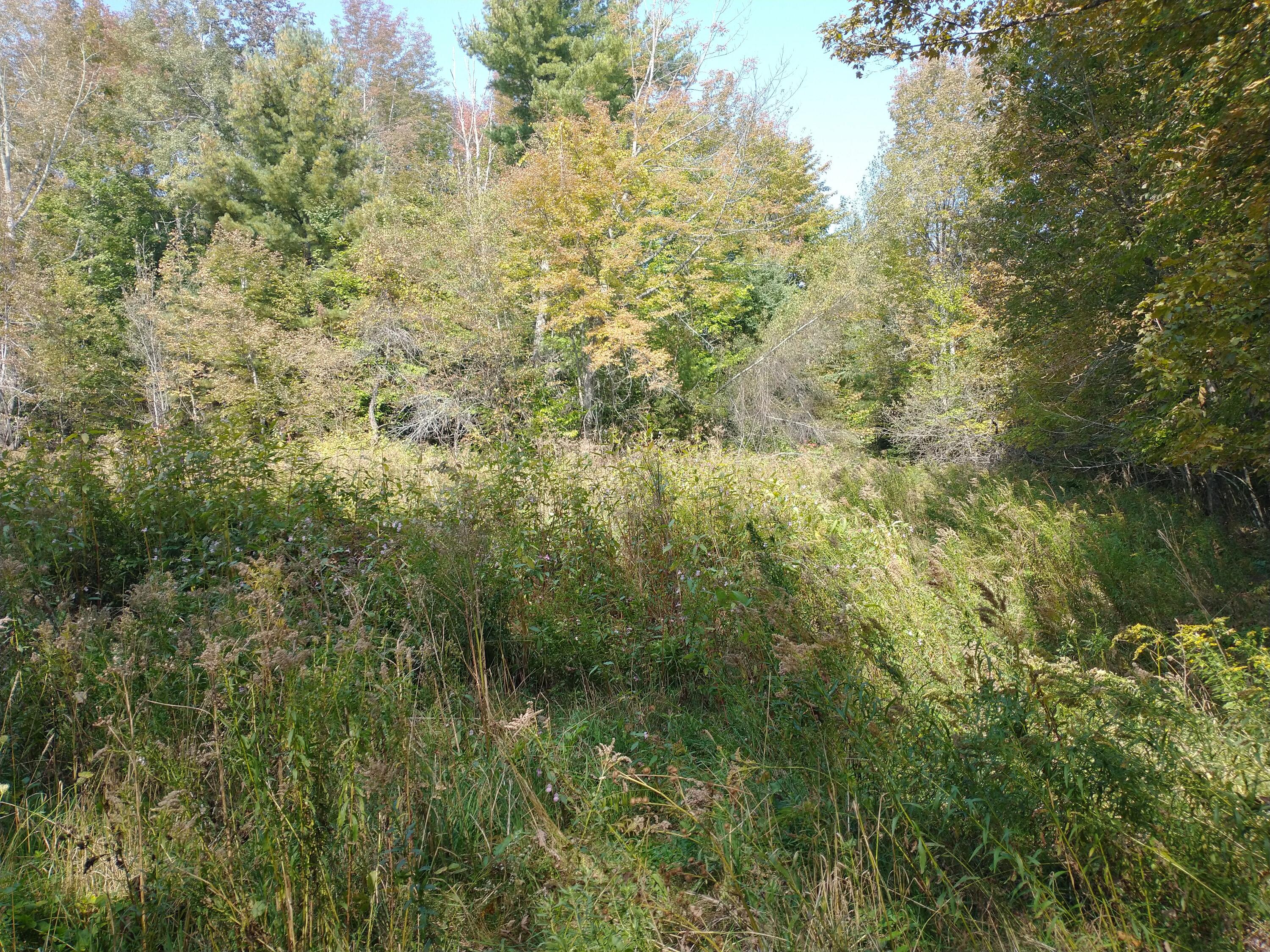 644 Upper Garland Road Dexter, ME 04930 - Photo 4 of 28 IMG_20231001_120341233