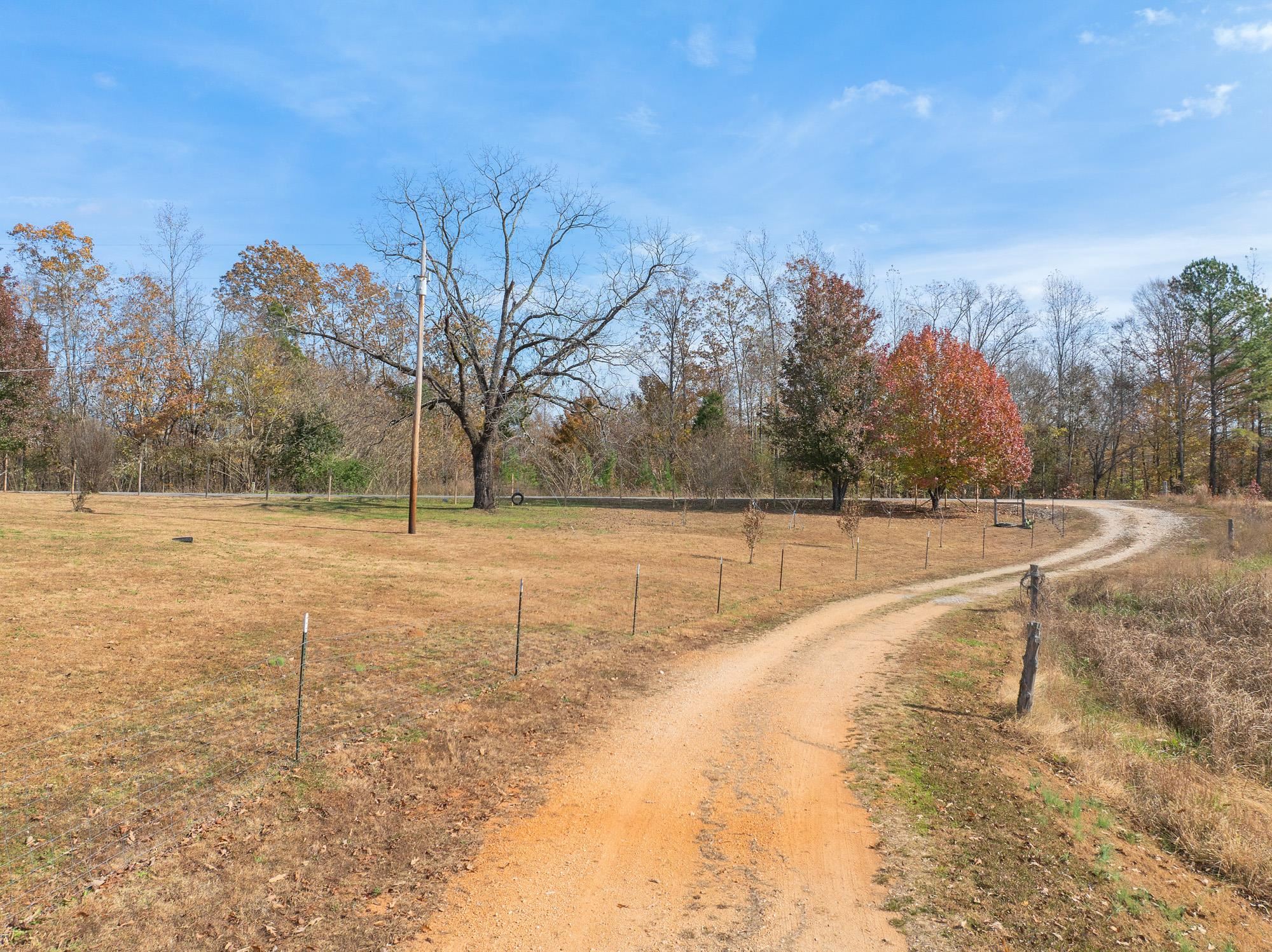 875 Lindsey Road Parsons, TN 38363 - Photo 25 of 38 a view of yard with trees