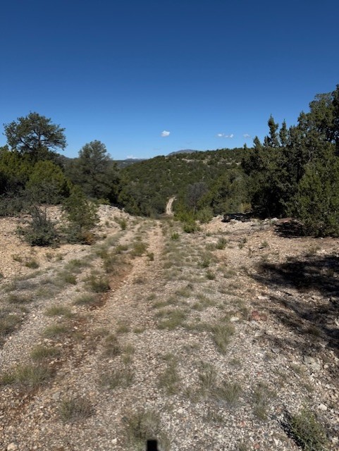 0 Edgewood Edgewood, NM 87015 - Photo 4 of 4