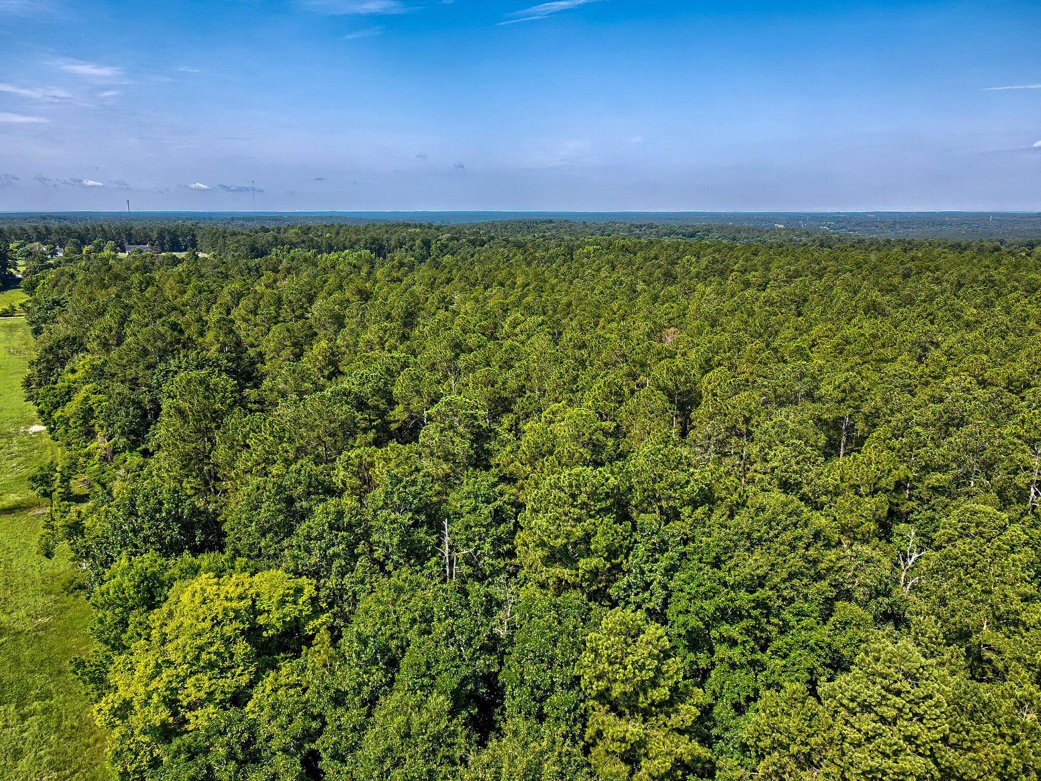 1290 Richardsons Lake Road Aiken, SC 29803 - Photo 56 of 101