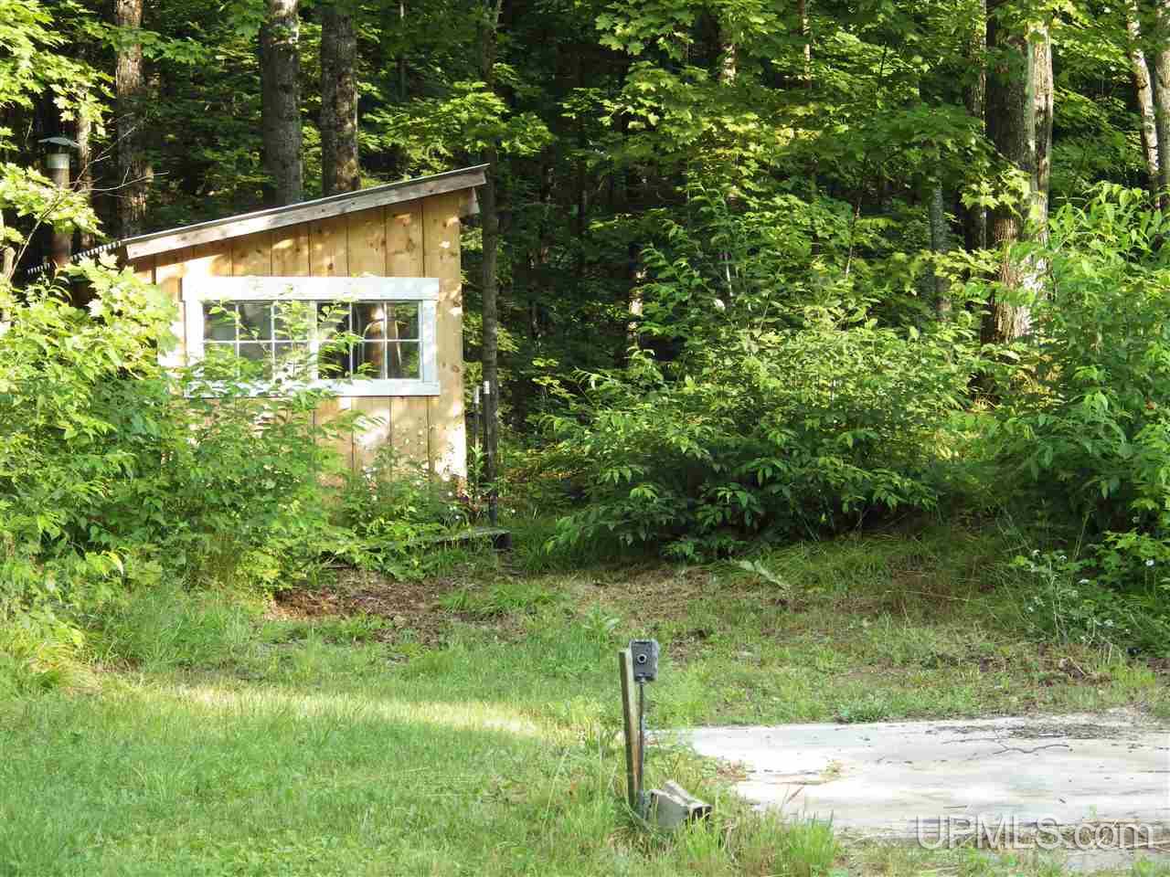 305 Town Hall Road Skandia, MI 49885 - Photo 34 of 36