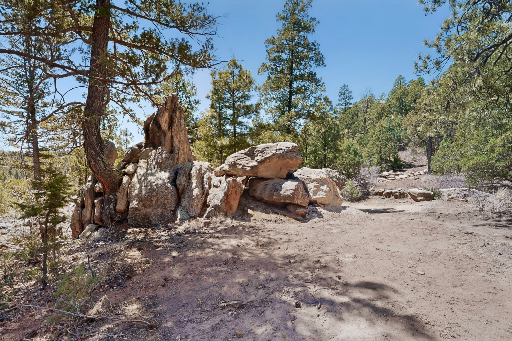 30 Monte La Cueva Road Glorieta, NM 87535 - Photo 6 of 91